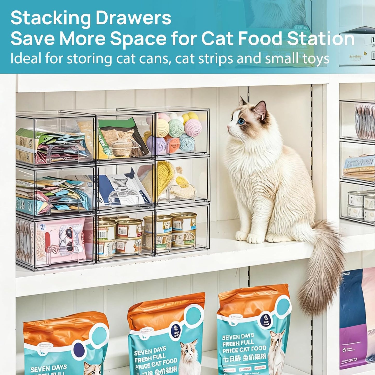 Daphtora® Acrylic Stackable Storage Drawers - L