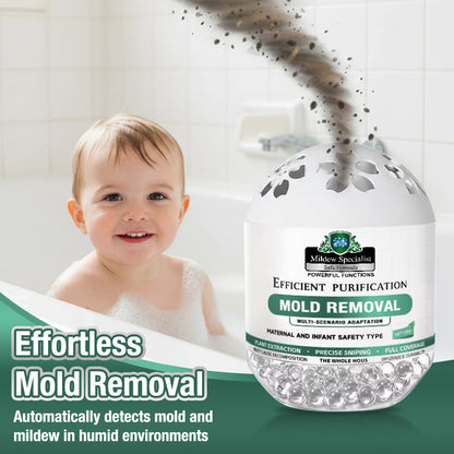 Daphtora® MoldiZero Mildew Clearing Magic Box