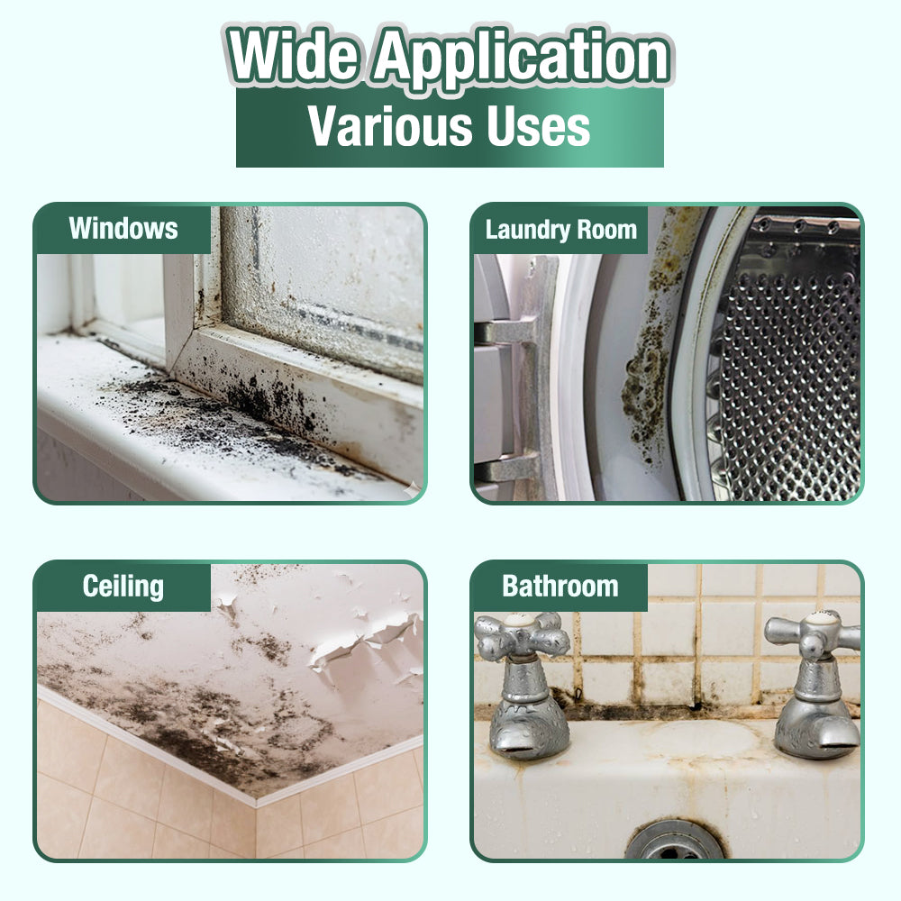 Daphtora® MoldiZero Mildew Clearing Magic Box