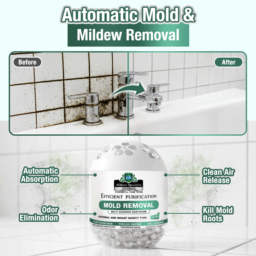Daphtora® MoldiZero Mildew Clearing Magic Box