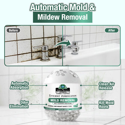 Daphtora® MoldiZero Mildew Clearing Magic Box