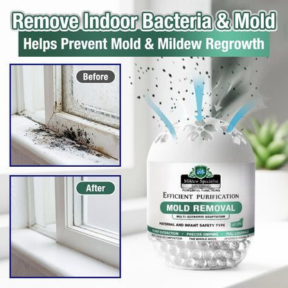 Daphtora® MoldiZero Mildew Clearing Magic Box