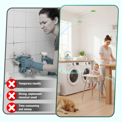 Daphtora® MoldiZero Mildew Clearing Magic Box