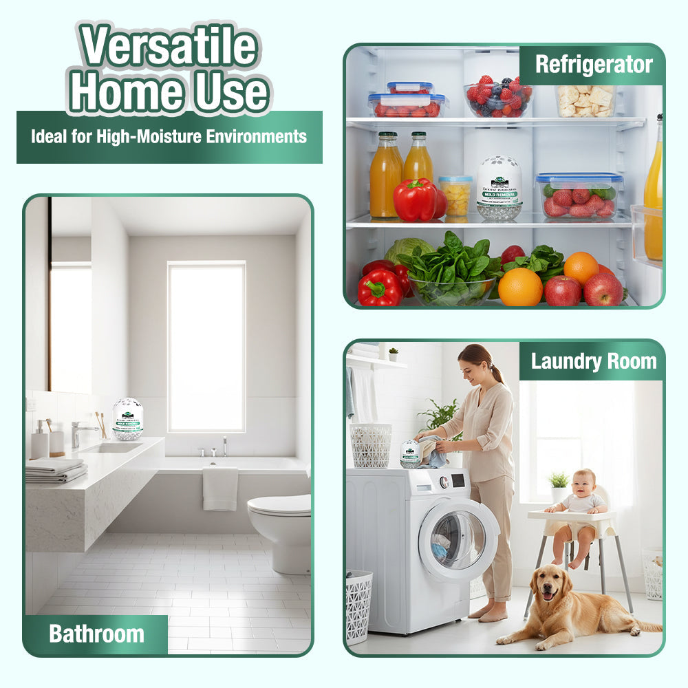 Daphtora® MoldiZero Mildew Clearing Magic Box