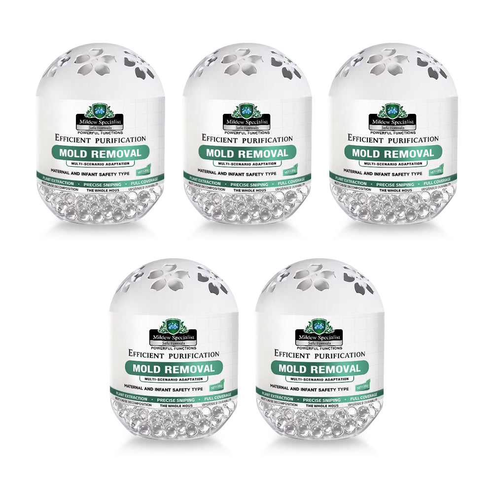 Daphtora® MoldiZero Mildew Clearing Magic Box