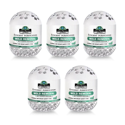 Daphtora® MoldiZero Mildew Clearing Magic Box