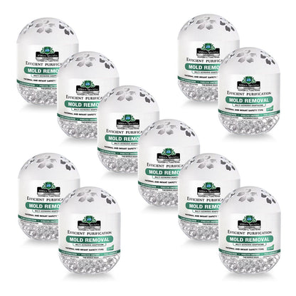 Daphtora® MoldiZero Mildew Clearing Magic Box