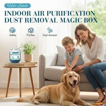 🔥 Limited-Time Pre-Sale⏰Daphtora® Indoor Air Purification Dust Removal Magic Box🏠🌿