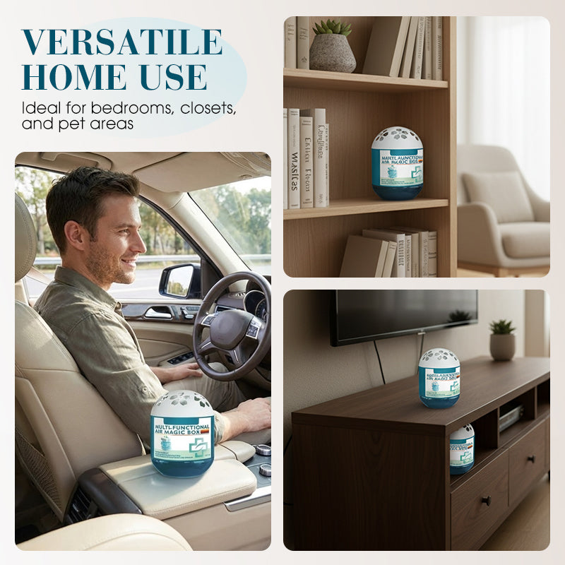 🔥 Limited-Time Pre-Sale⏰Daphtora® Indoor Air Purification Dust Removal Magic Box🏠🌿